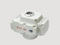 ZYS-60С220V늄yT