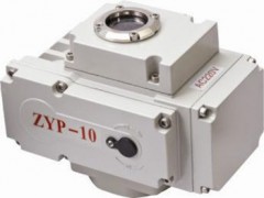 ZYP-10y{