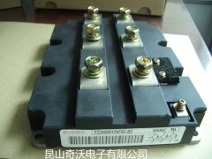 FF450R12IE4FZ800R33KL2CM(jn)IGBT