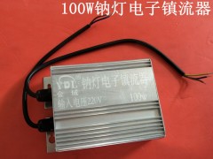 YDL100W߉cS